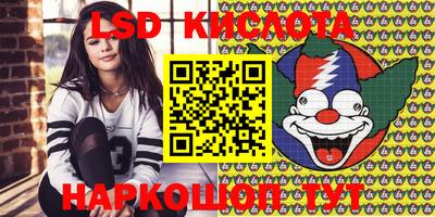 скорость Кингисепп