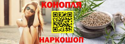 скорость Кингисепп