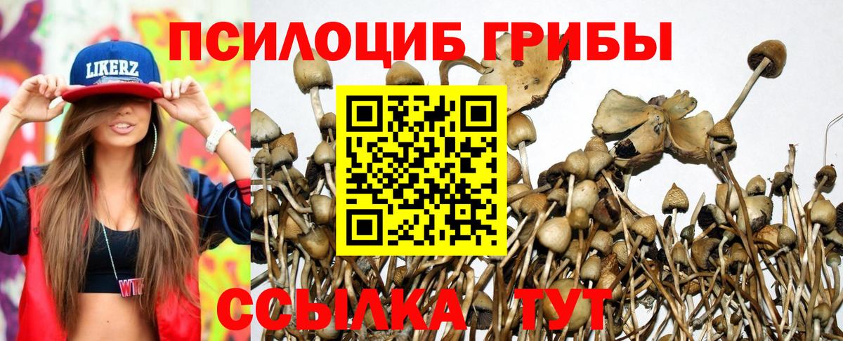 Псилоцибиновые грибы MAGIC MUSHROOMS  Галлюциногенные грибы прущие грибы  Долгопрудный  Вход с VPN 