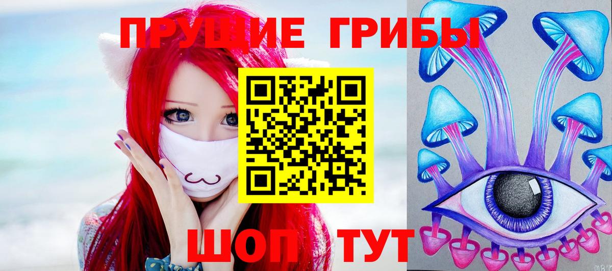 Псилоцибиновые грибы Psilocybe Долгопрудный